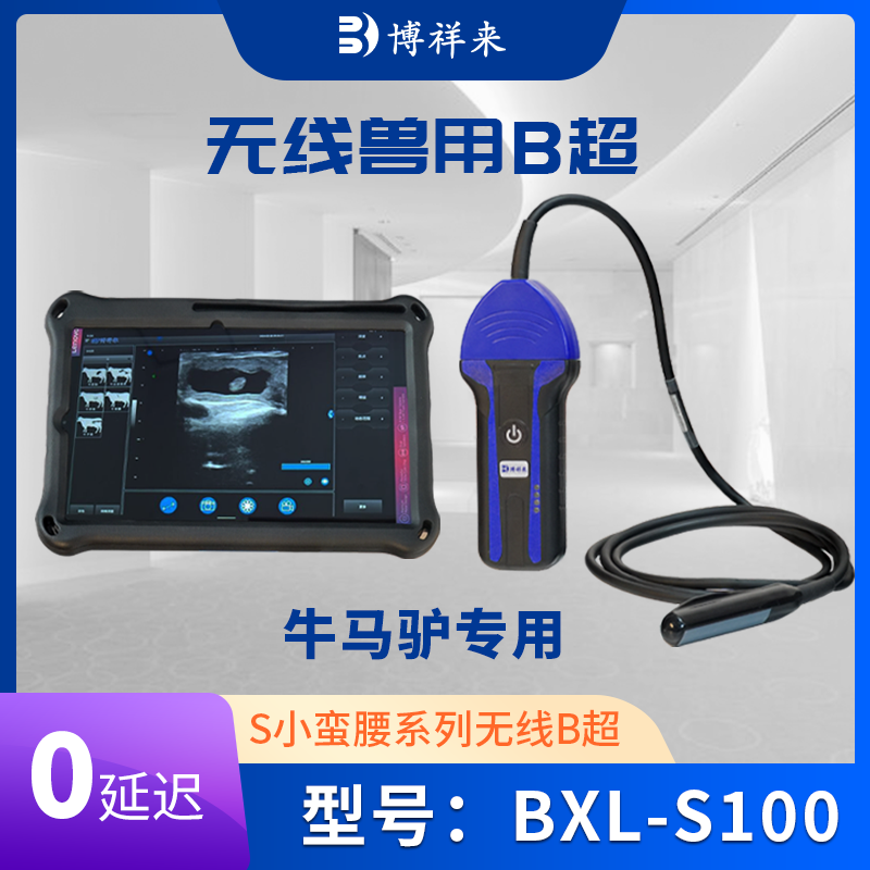 兽用无线B超测孕仪BXL-S100