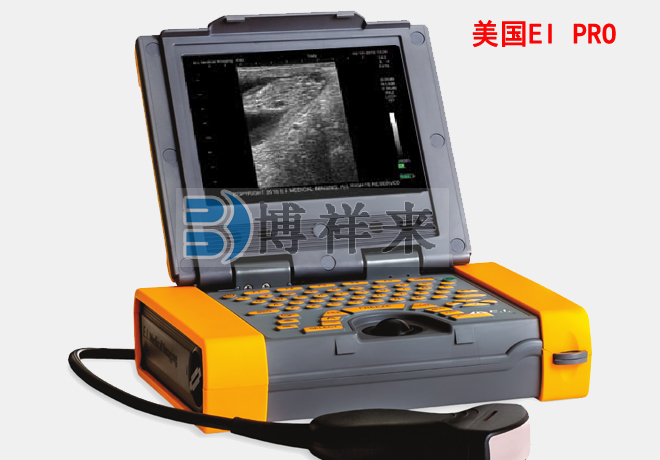 美国EI进口小动物B超Pro