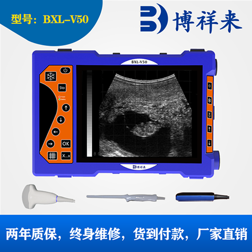 大屏兽用B超机BXL-V50