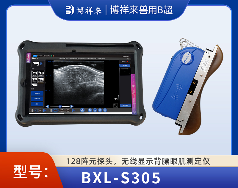 无线猪用背膘眼肌测定仪BXL-S305
